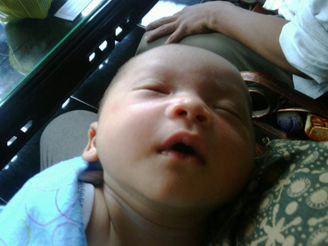 IMG00364-20110528-1529.jpg