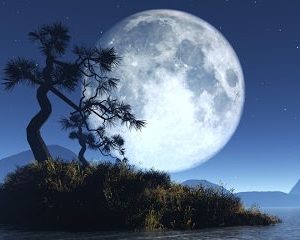 puasa_purnama_ayyamul_bidh