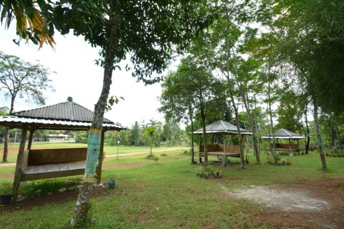 Gazebo (2)