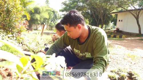 df6f3ffe-f7a7-487b-8152-ed9c0b440881