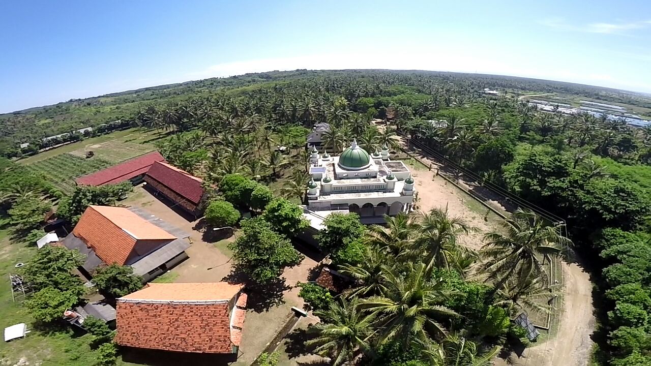 angan An-nahl Dari Langit