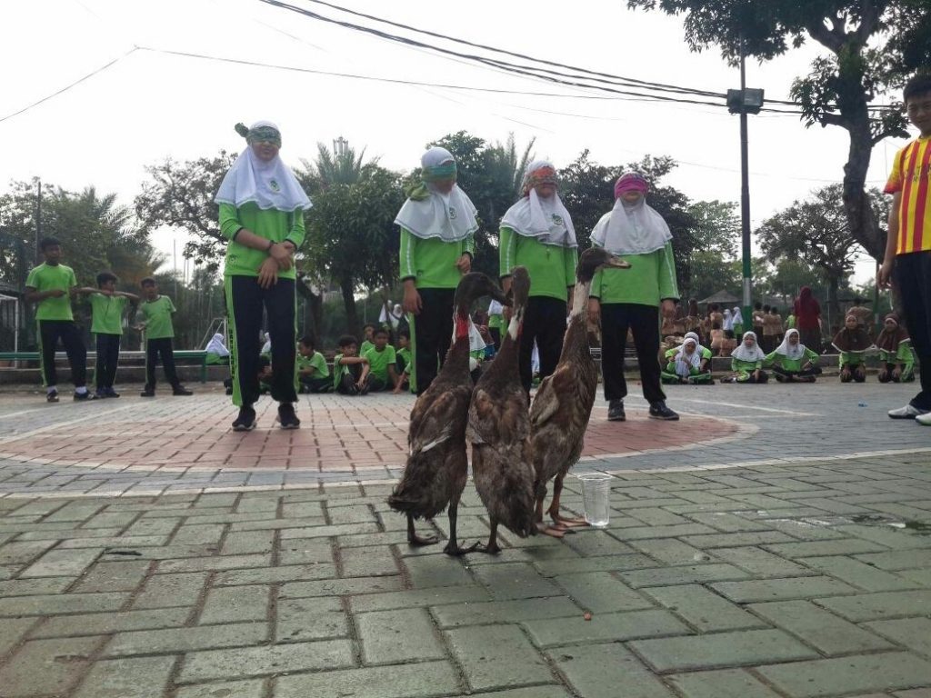 acara 17 an