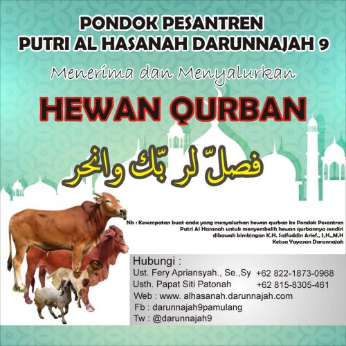 qurban dn9