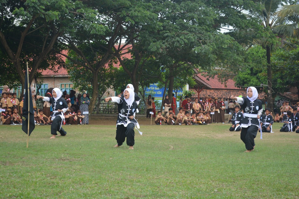 penampilan-wushu-putri-dalam-kemah-bersama-tingkat-madrasah-ibtidaiyah-se-kkm-min-3-pandeglang-di-ponpes-an-nahl-darunnajah-5-cikeusik-pandeglang-banten