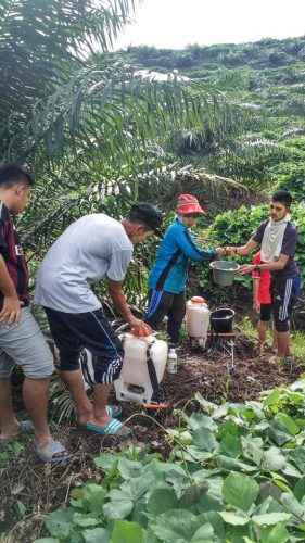 Kegiatan Hari Ketiga Praktik Pengabdian Masyarakat Di Kecamatan Teramang Jaya Mukomuko Bengkulu