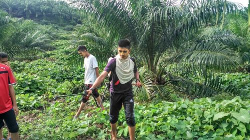 Kegiatan Hari Ketiga Praktik Pengabdian Masyarakat Di Kecamatan Teramang Jaya Mukomuko Bengkulu