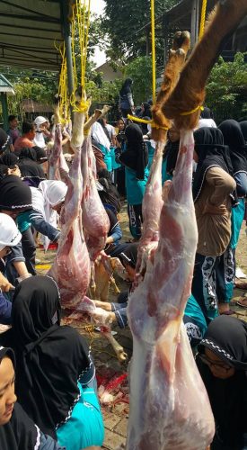 Suasana Idhul Adha Di Pesantren Darunnajah Jakarta