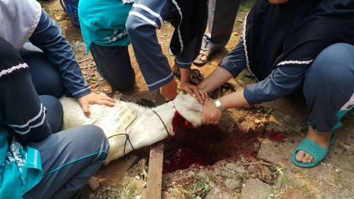 Suasana Idhul Adha Di Pesantren Darunnajah Jakarta