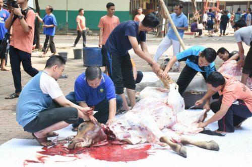 Suasana Idhul Adha Di Pesantren Darunnajah Jakarta