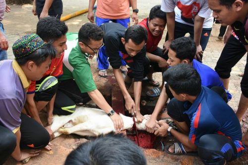 Suasana Idhul Adha Di Pesantren Darunnajah Jakarta