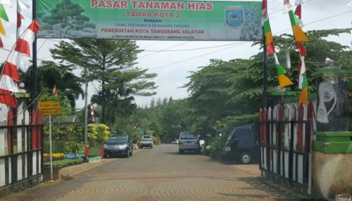 Tempat berbagai macam tanaman hias di pusat kota