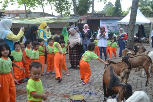 murid tk islam darunnajah berqurban