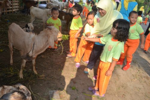 murid tk islam darunnajah berqurban