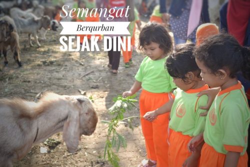 Hikmah di Balik Menyembelih Qurban