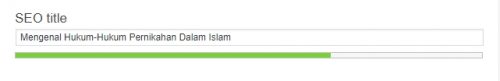 Cara Optimasi Yoast Search Engine Optimation (SEO) Pada Postingan
