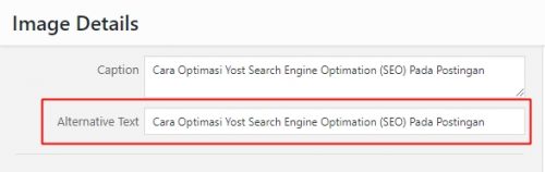 Cara Optimasi Yoast Search Engine Optimation (SEO) Pada Postingan