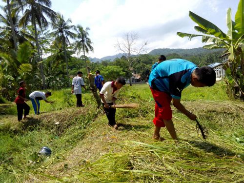 Kerja bakti santri