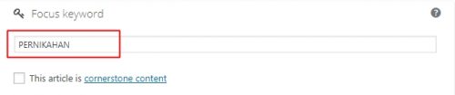 Cara Optimasi Yoast Search Engine Optimation (SEO) Pada Postingan