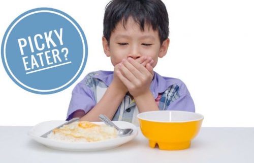 Anak anda termasuk picky eater?