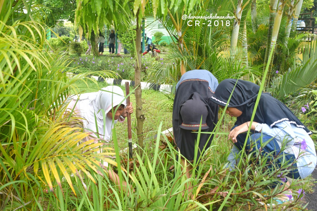 Membuat lingkungan semakin indah dipandang