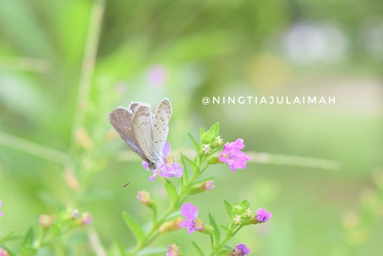 Gambar yang indah dapat mengbuat orang yang melihat menjadi rileks