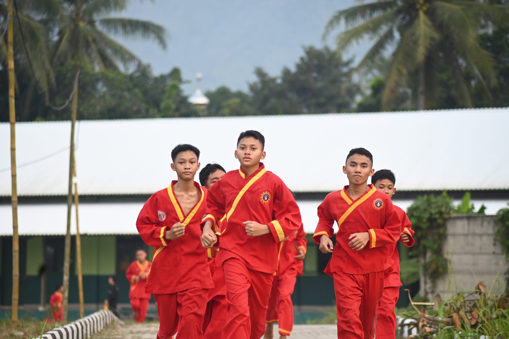 Mengapa Tapak Suci Menjadi Seni Bela Diri Pilihan Di Pesantren