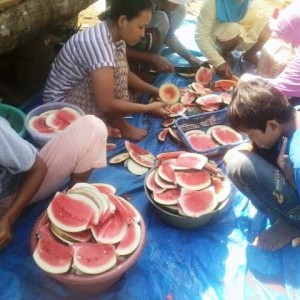 Cara Menanam Semangka Ala Pondok Pesantren An Nahl Darunnajah 5 Cikeusik Pandeglang Banten