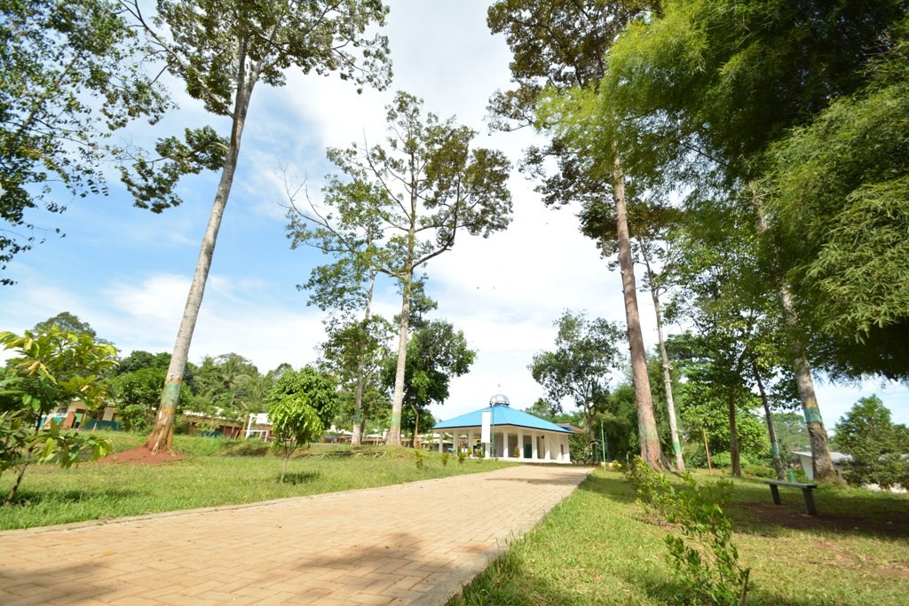 masjid view