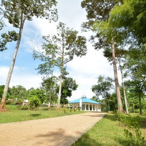 masjid view