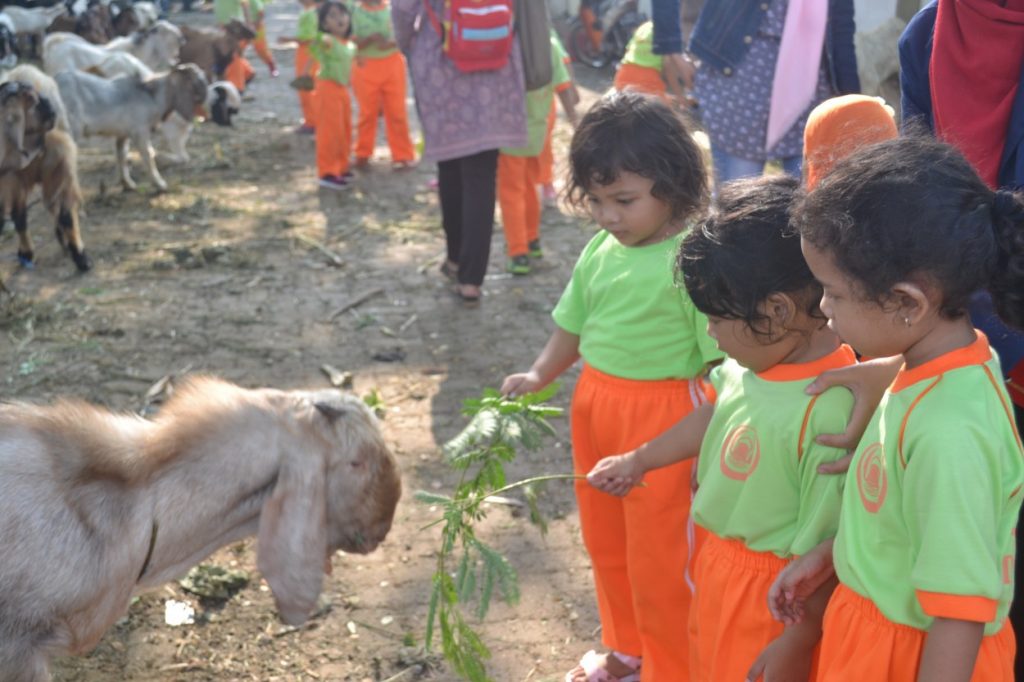 murid tk islam darunnajah berqurban