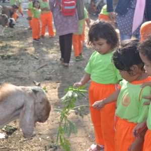 murid tk islam darunnajah berqurban