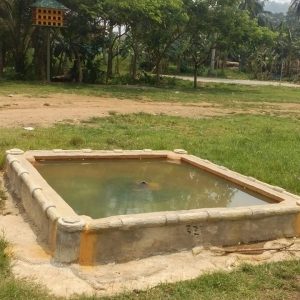 Kolam Air Panas Alami Pesantren Tsurayya Darunnajah 4