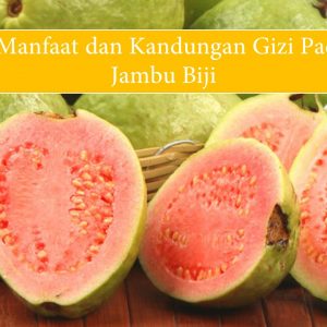 Khasiat jambu biji