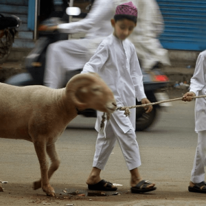 Hikmah Melaksanakan Ibadah Qurban