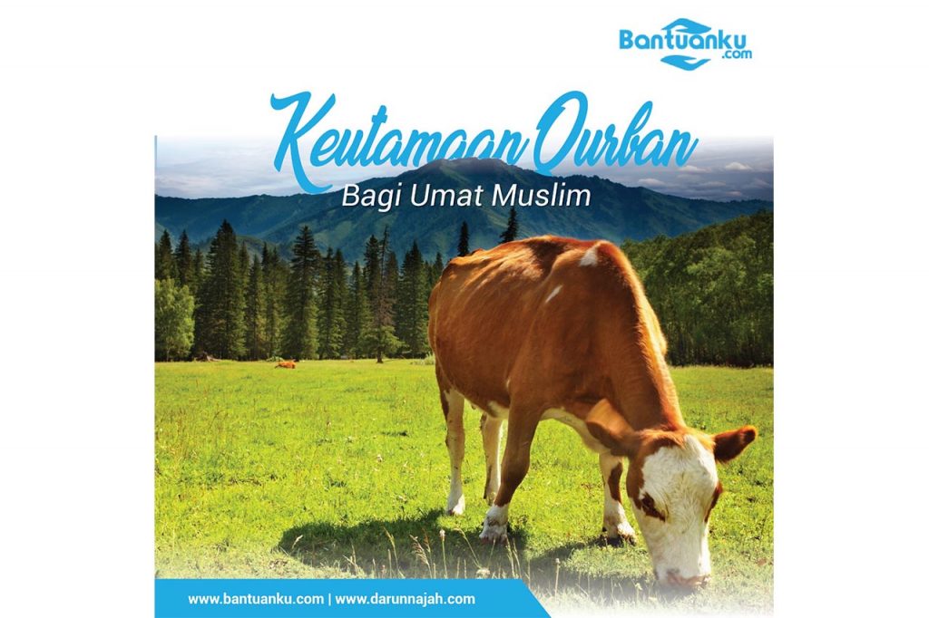 Keutamaan Kurban Bagi Umat Muslim