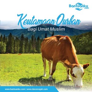 Keutamaan Kurban Bagi Umat Muslim