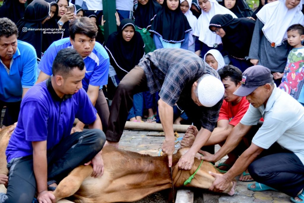 Qurban Sebagai Bentuk Pengorbanan: Mengenal Arti dan Makna dalam Tradisi Idul Adha