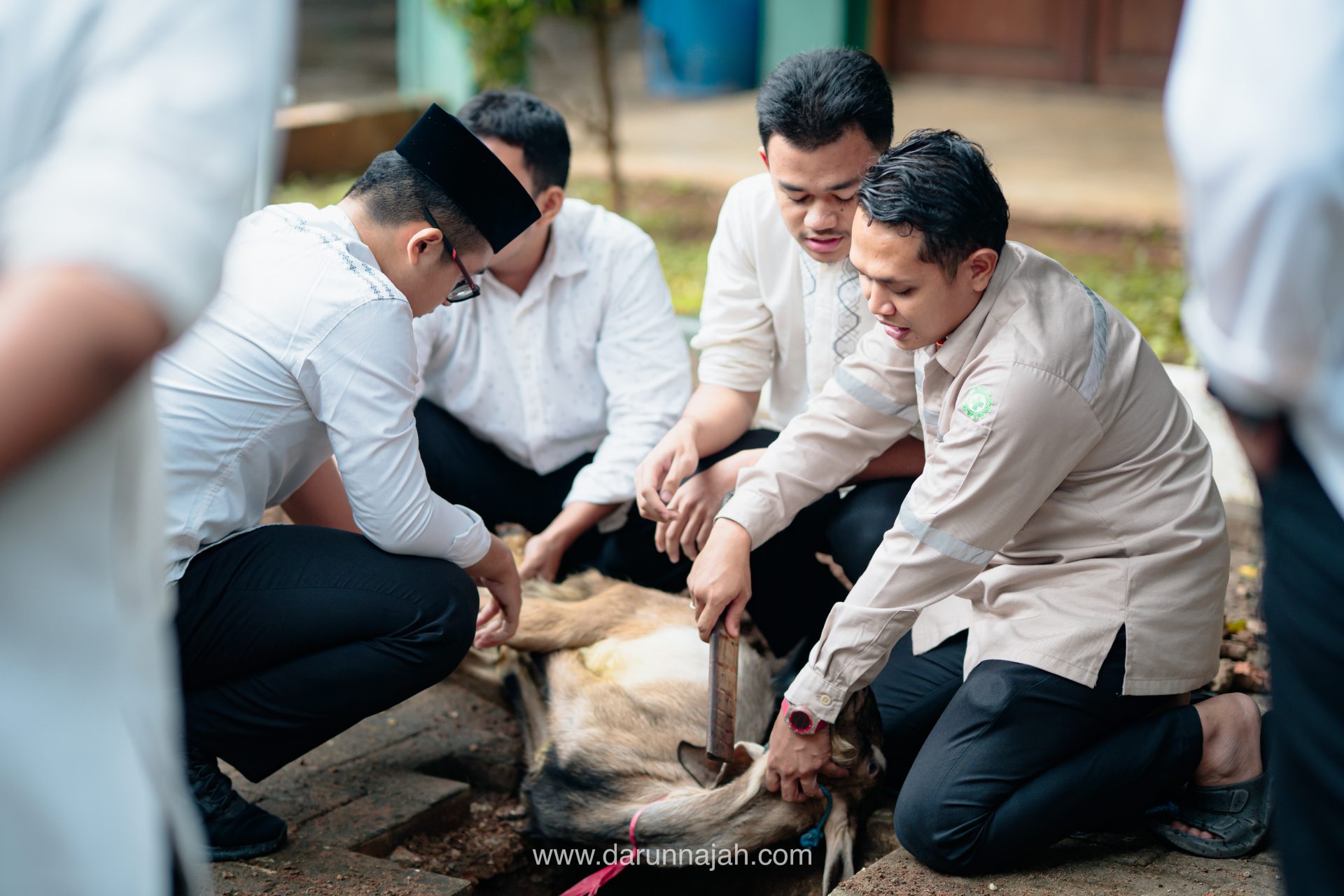Belajar Fiqh Qurban, Santri Kelas 6 Darunnajah Antusias Ikuti Penyuluhan