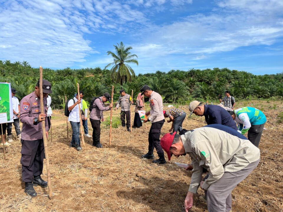 Sinergi Pesantren, Pemerintah, dan Perusahaan dalam Wujudkan Penanaman Jagung di Annakhil Darunnajah 6
