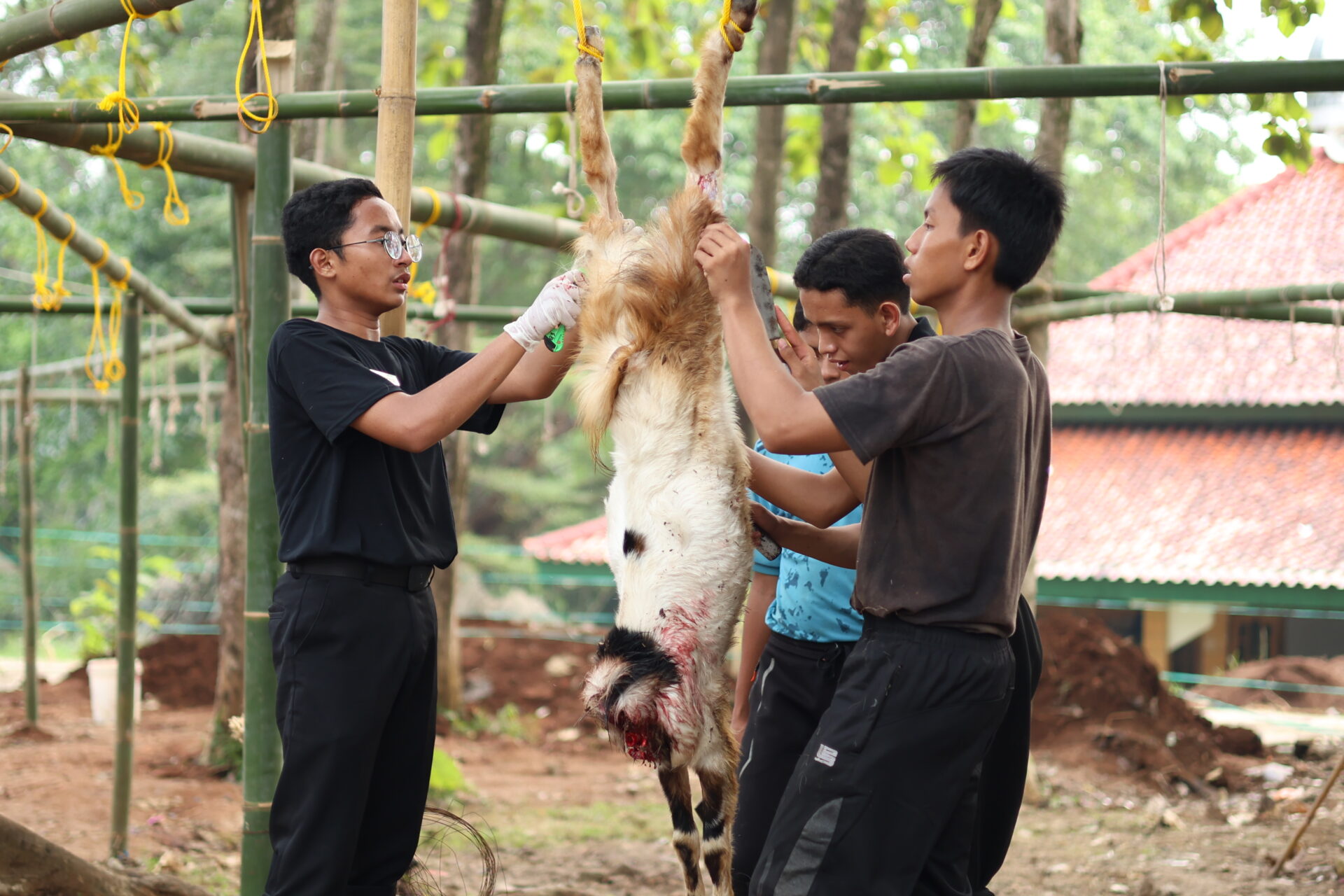 Berlomba dalam Kebaikan Melalui Idul Qurban Panitia Qurban