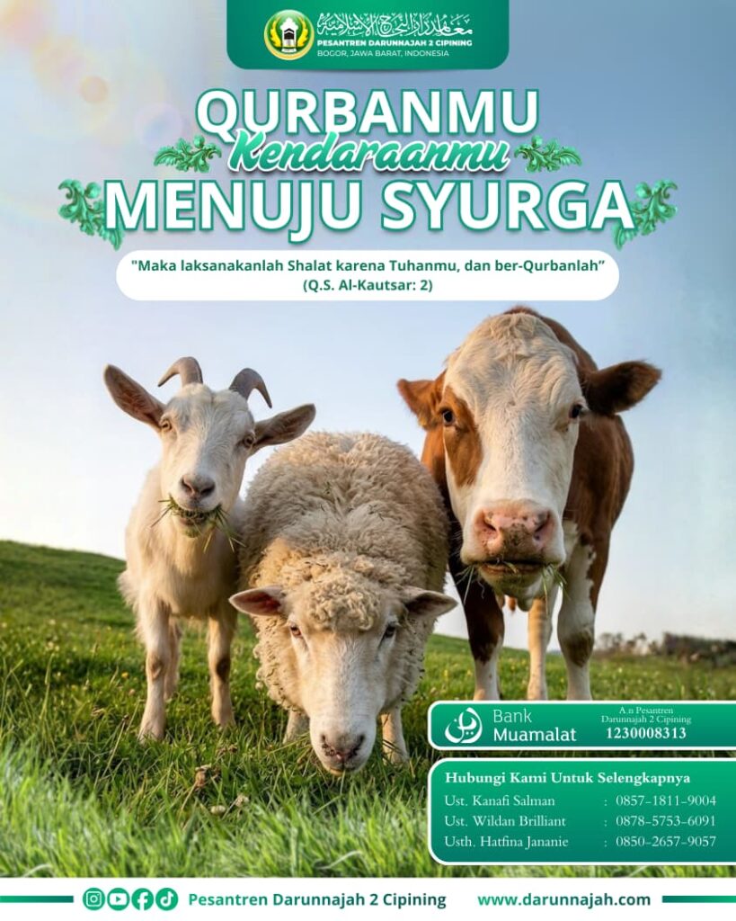 Panduan Memilih Hewan Kurban, Tata Cara, dan Hikmah yang Sering Kita Lupa