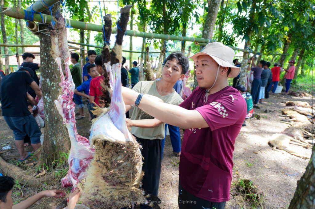 Gemuruh Takbir dan Semangat Berkurban, 207 Hewan Qurban  Disembelih di Pesantren Darunnajah 2 Cipining