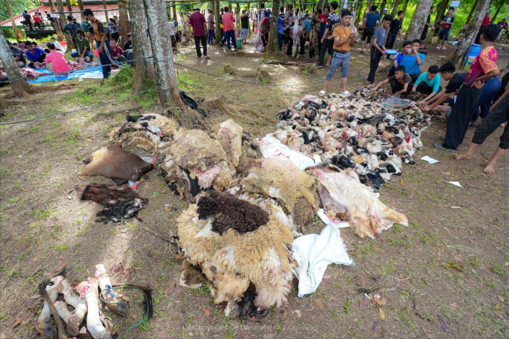 Gemuruh Takbir dan Semangat Berkurban, 207 Hewan Qurban  Disembelih di Pesantren Darunnajah 2 Cipining